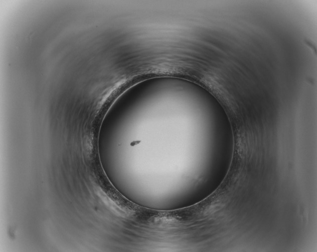 X0000102310208200808011611