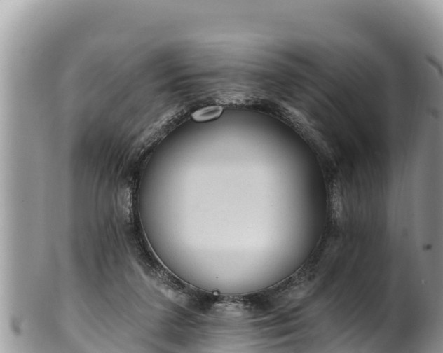 X0000102310211200808011611