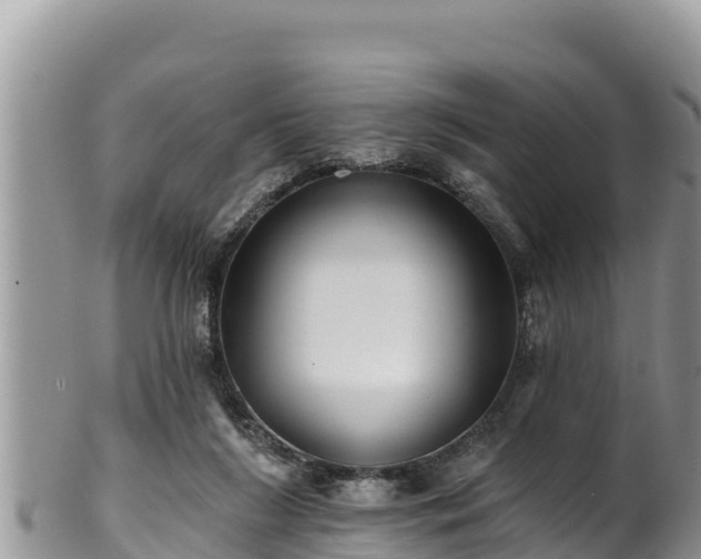 X0000102310212200808011611