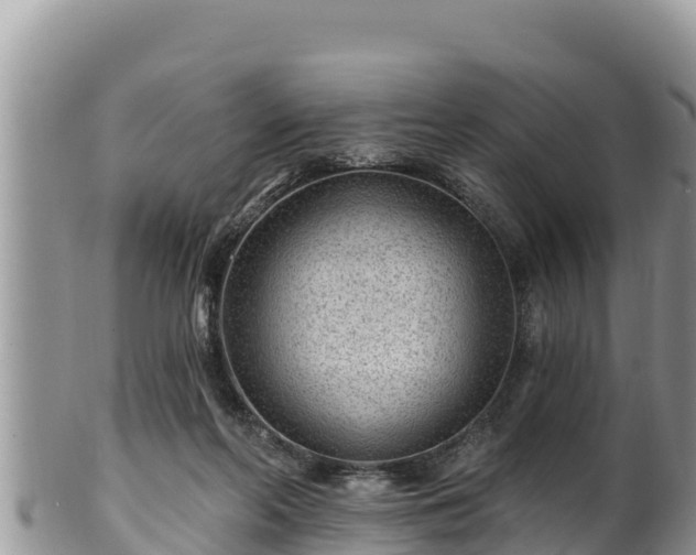 X0000102310214200808011611