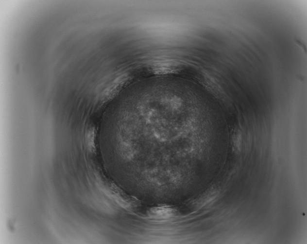 X0000102310219200808011611