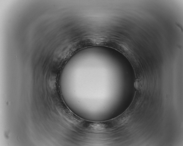 X0000102310221200808011611