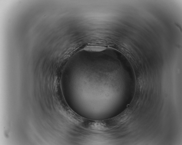 X0000102310223200808011611