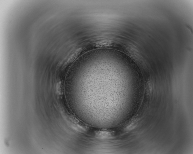 X0000102310224200808011611