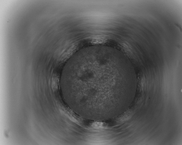 X0000102310227200808011611