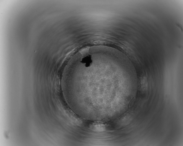 X0000102310228200808011611