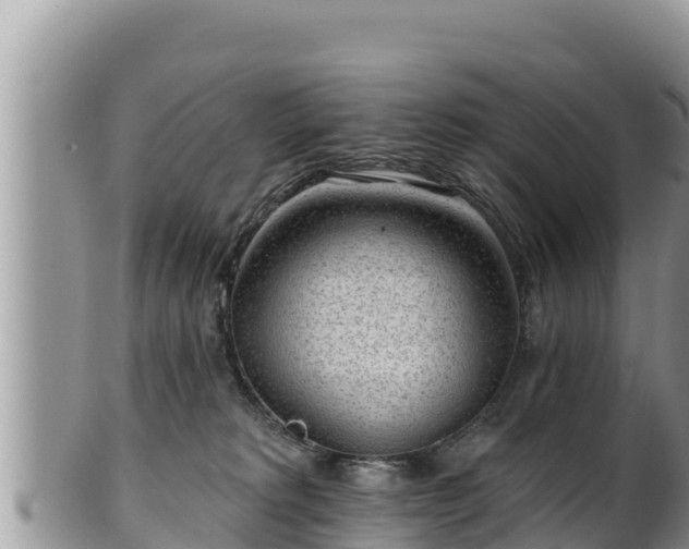 X0000102310229200808011611