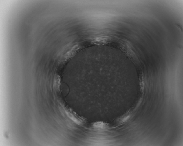 X0000102310231200808011610