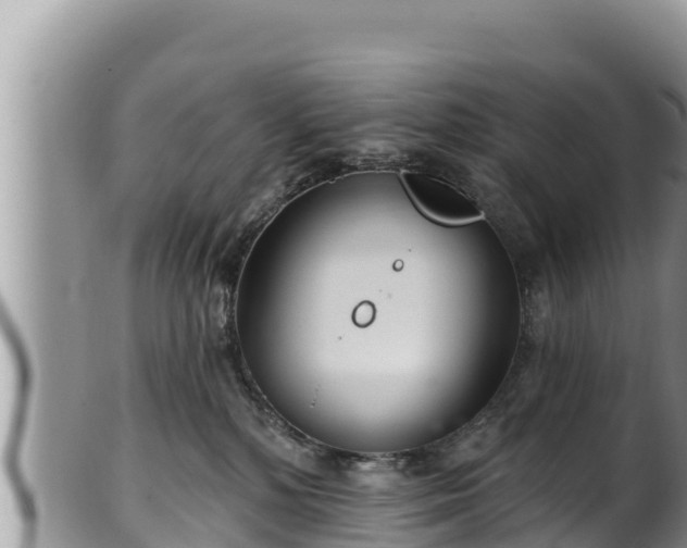 X0000102310232200808011610