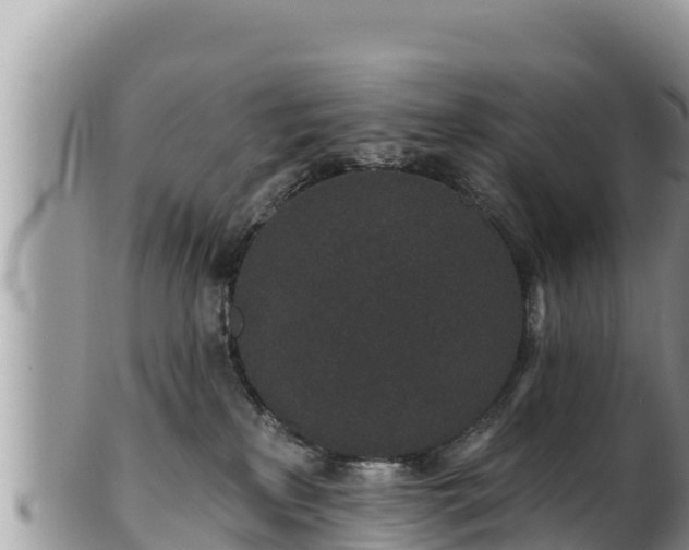 X0000102310233200808011610