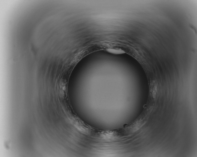 X0000102310235200808011610