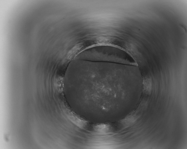 X0000102310237200808011610