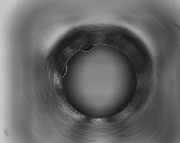 X0000102310239200808011610