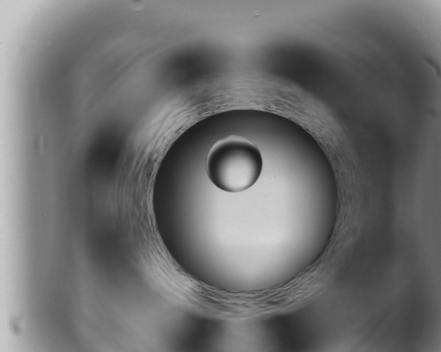 X0000102310240200808011610