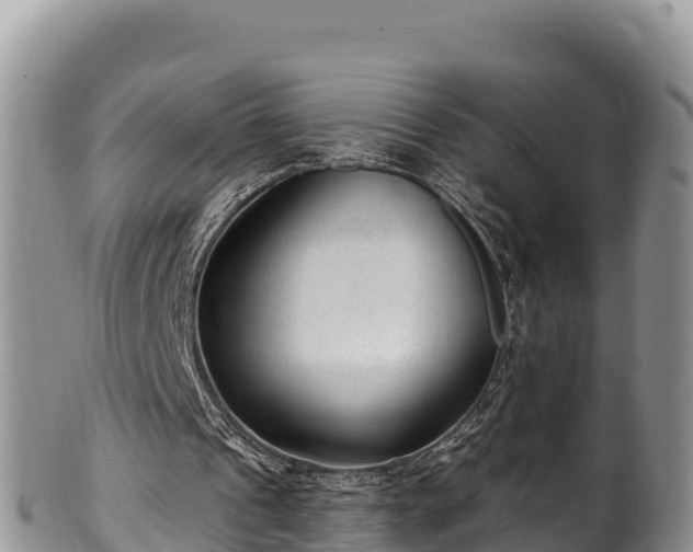 X0000102310241200808011609