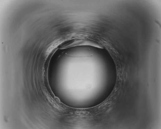 X0000102310242200808011609