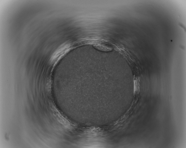 X0000102310243200808011609