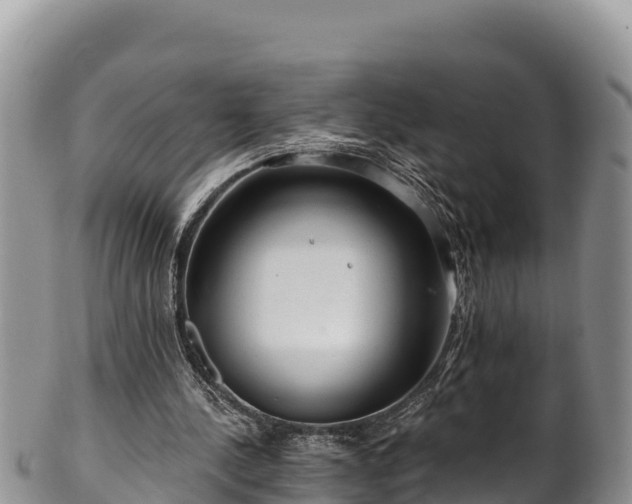 X0000102310244200808011610