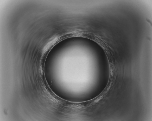 X0000102310245200808011610