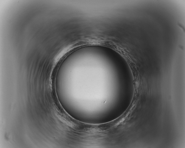 X0000102310246200808011610