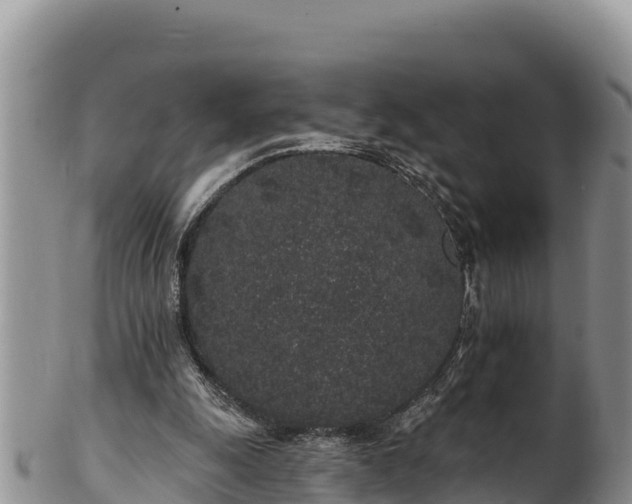 X0000102310247200808011610