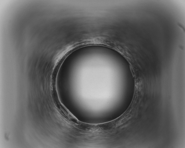 X0000102310248200808011610