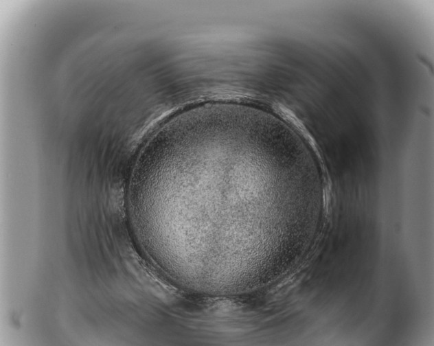 X0000102310249200808011610