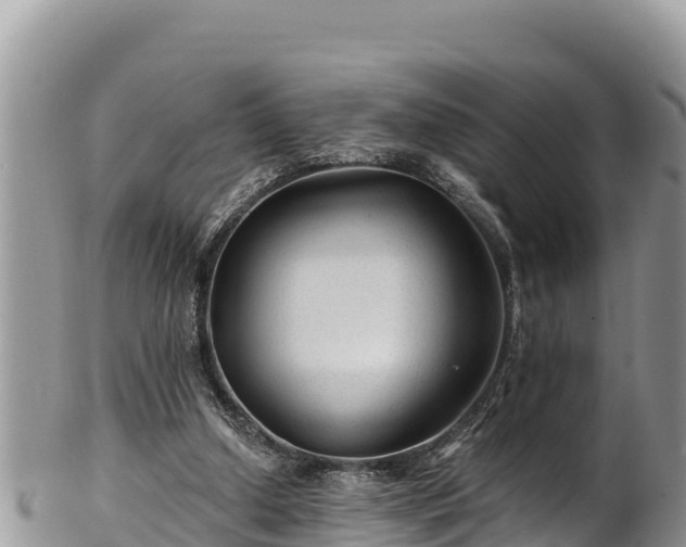 X0000102310250200808011610