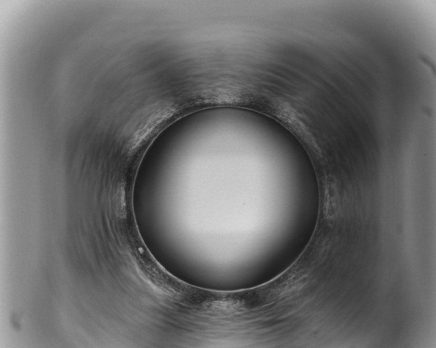 X0000102310251200808011610