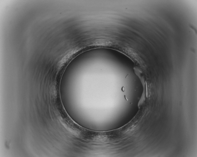 X0000102310252200808011610