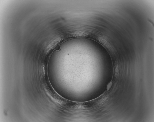 X0000102310254200808011610