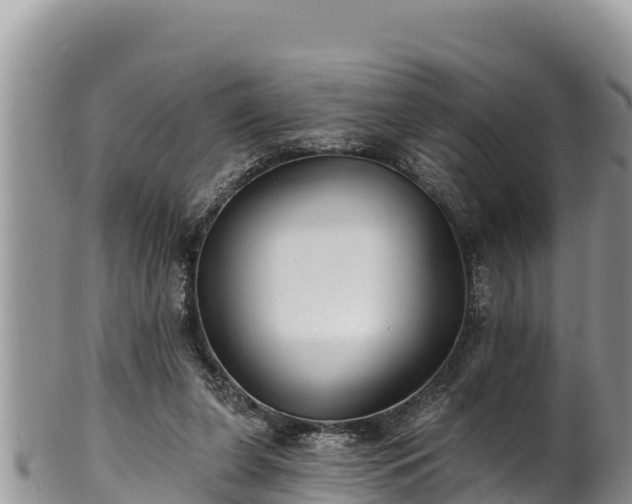 X0000102310255200808011610