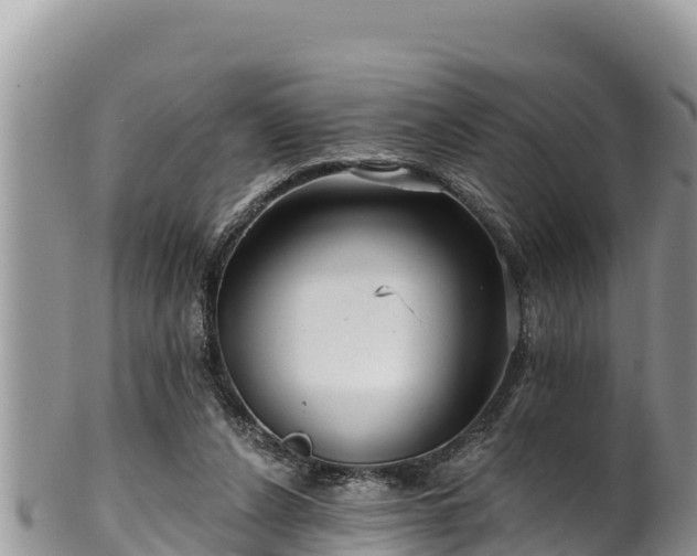 X0000102310256200808011610