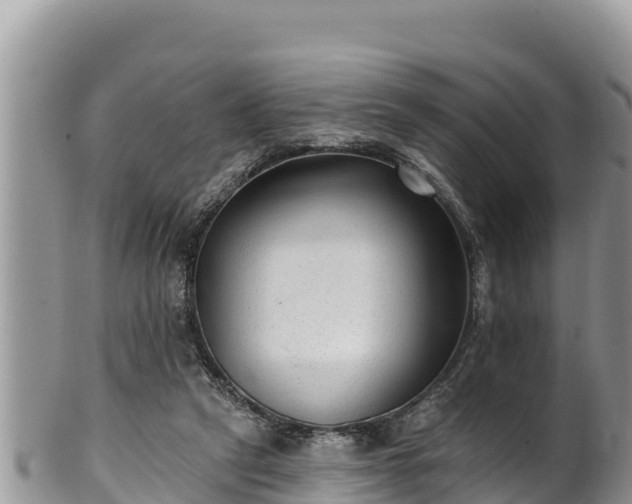 X0000102310257200808011610