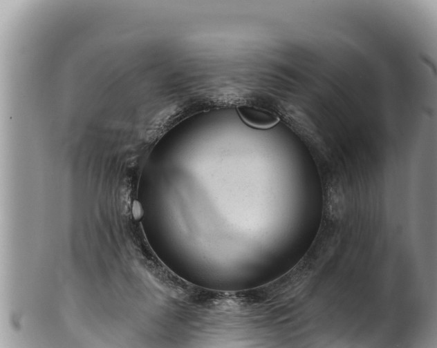 X0000102310259200808011610