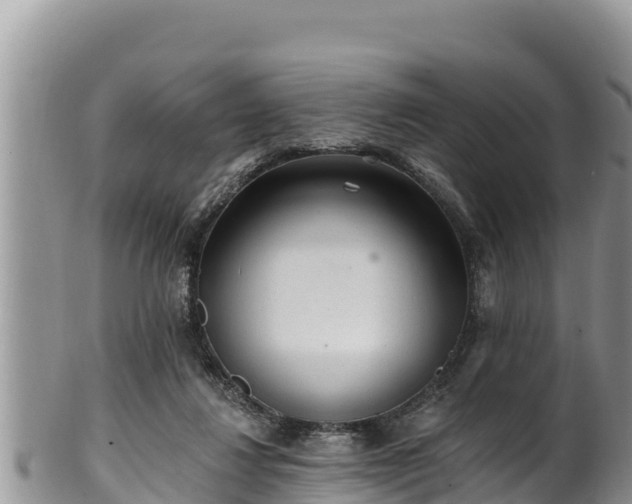 X0000102310260200808011610