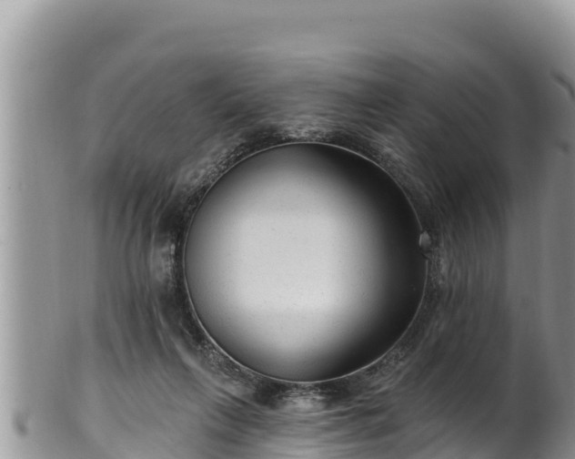 X0000102310263200808011610