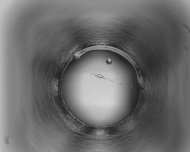 X0000102310264200808011610