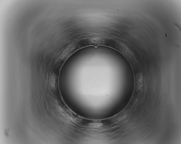 X0000102310266200808011610