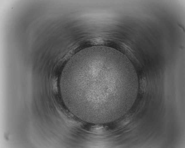 X0000102310267200808011610