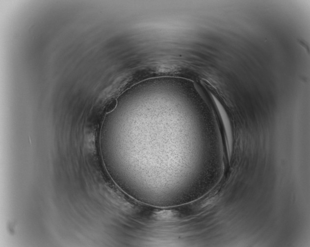 X0000102310269200808011610