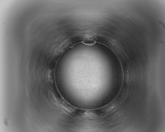 X0000102310270200808011610