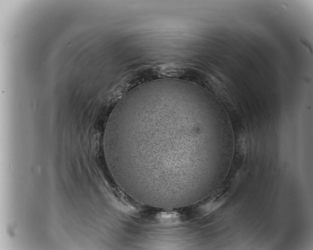 X0000102310271200808011610