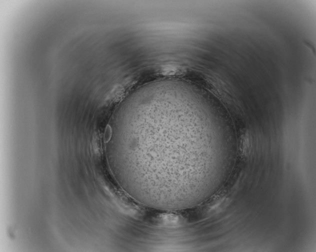 X0000102310272200808011610