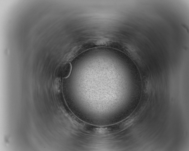 X0000102310273200808011610