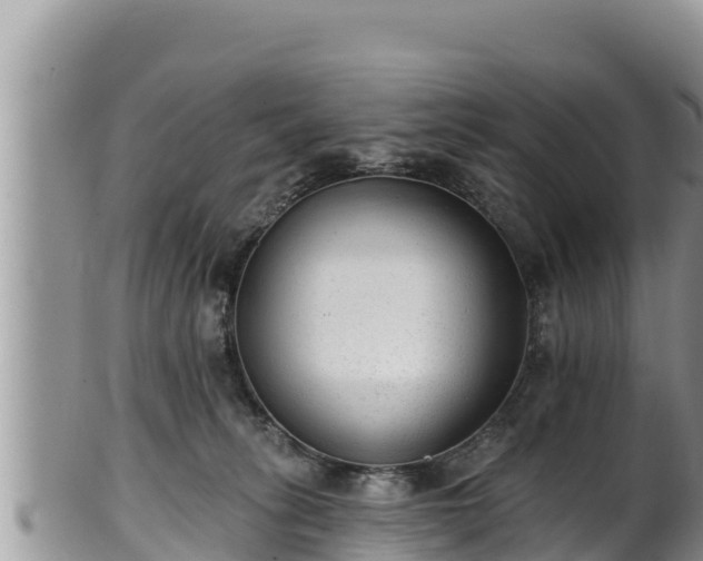 X0000102310275200808011610