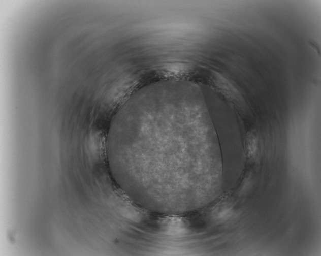 X0000102310276200808011610