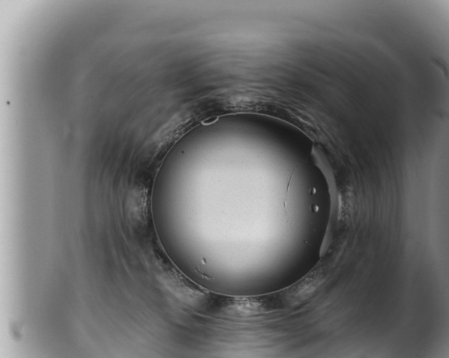 X0000102310278200808011610