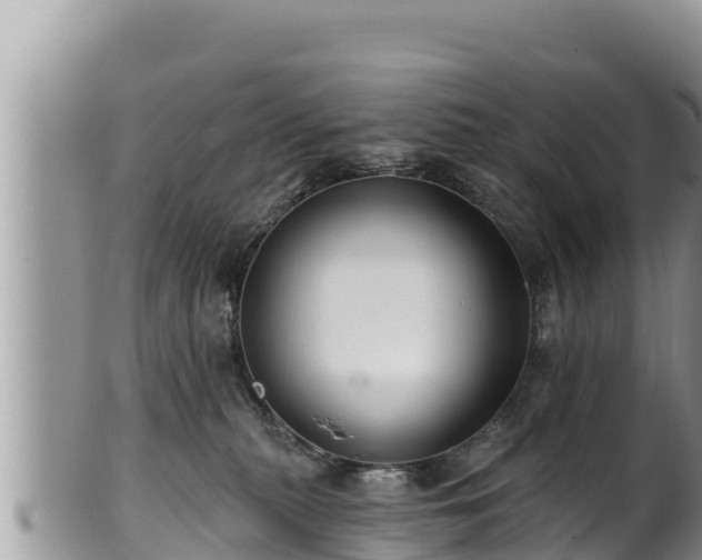 X0000102310279200808011610