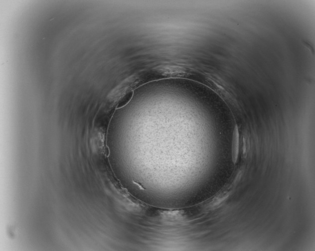 X0000102310281200808011610